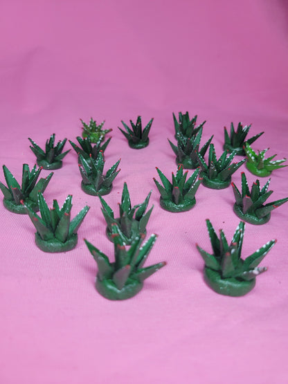 Mini Agave