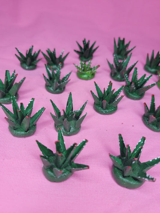 Mini Agave