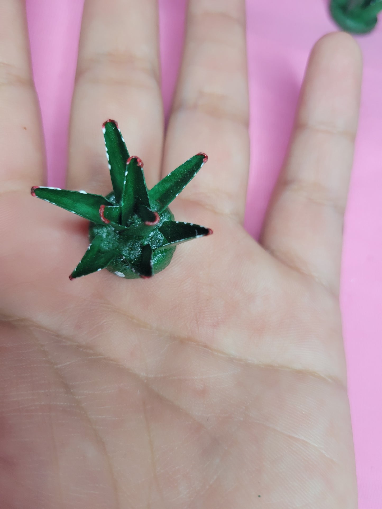 Mini Agave