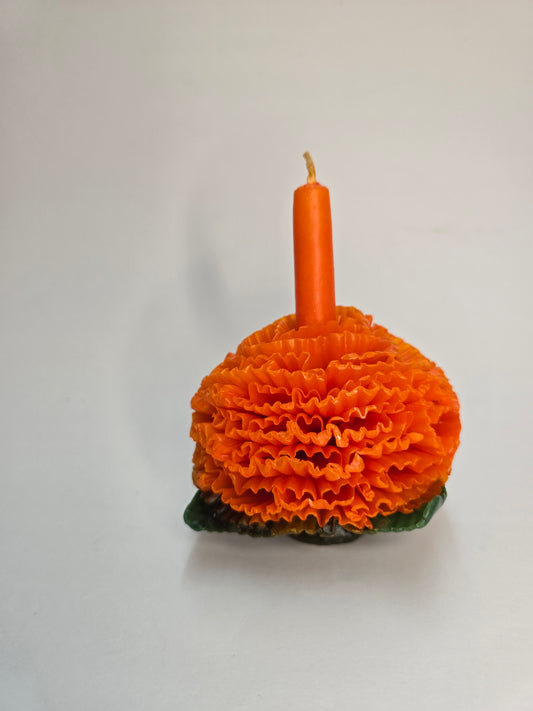 Vela de Oaxaca