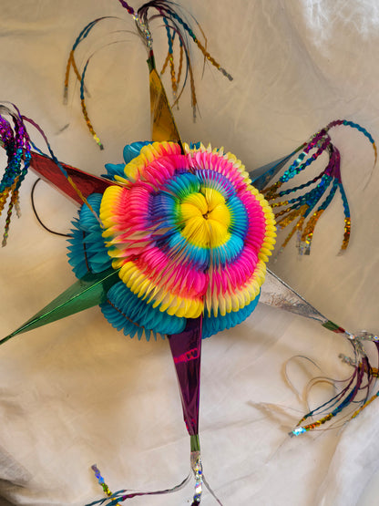 Piñata reusable