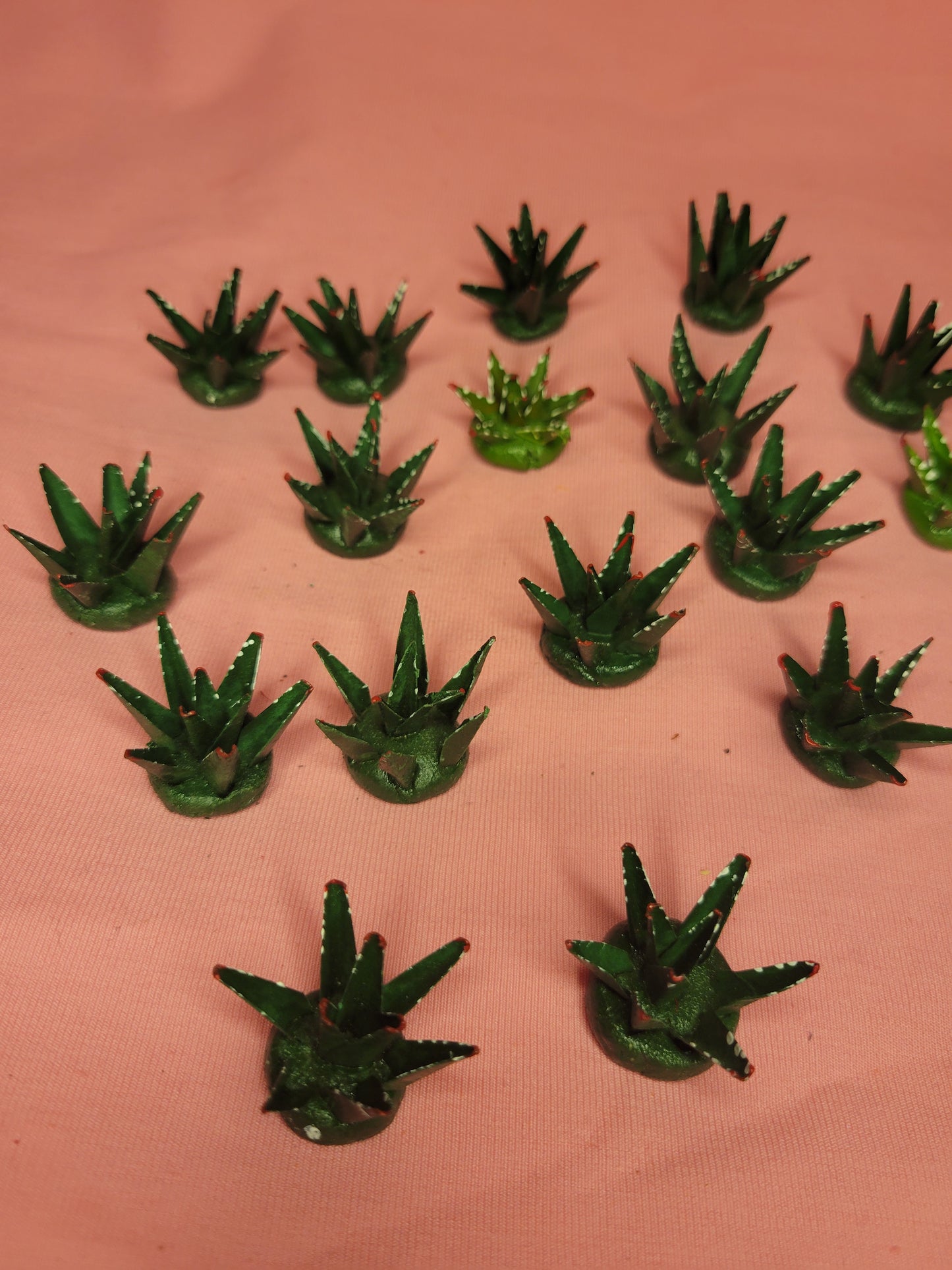 Mini Agave