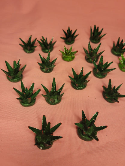 Mini Agave